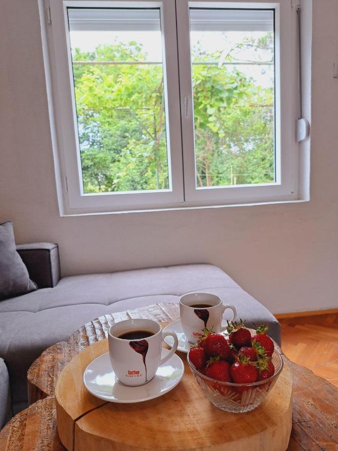 Guest House Green River Ljubuški Zewnętrze zdjęcie